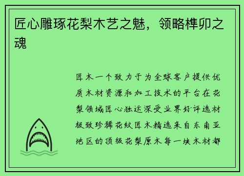 匠心雕琢花梨木艺之魅，领略榫卯之魂